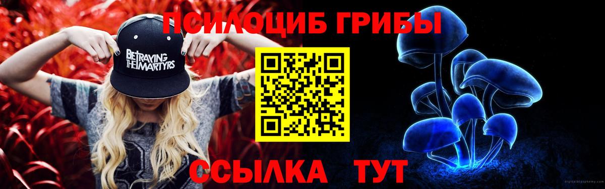 Новошахтинск  Галлюциногенные грибы Magic Shrooms  Вход с VPN 